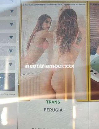 11 - Linda Trans Perugia - 3451684121