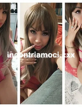 2 - Candy Trans Bologna - 3508009235