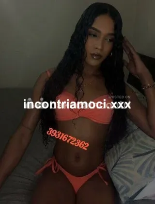 12 - Silvana Trans Roma - 3931672362