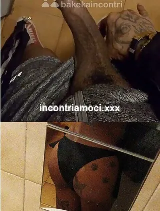 22 - Stella Cavallona Trans Milano - 3714936409