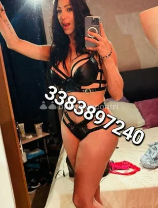 25 - Trans Sinthia Trans Pesaro e Urbino - 3383897240
