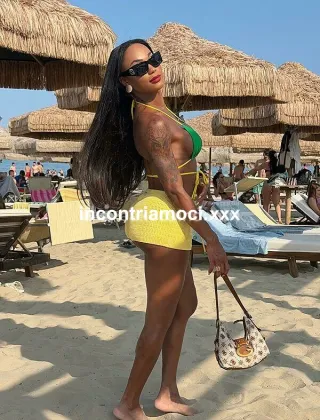 35 - Karina Trans Imperia - 3929382513