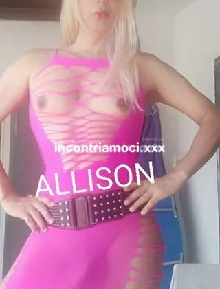 23 - Allison Trans Terni - 3474931356