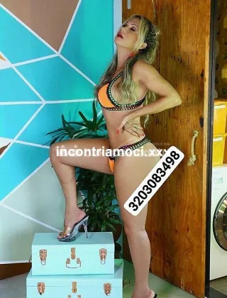 17 - Lorena Trans Varese - 3203083498