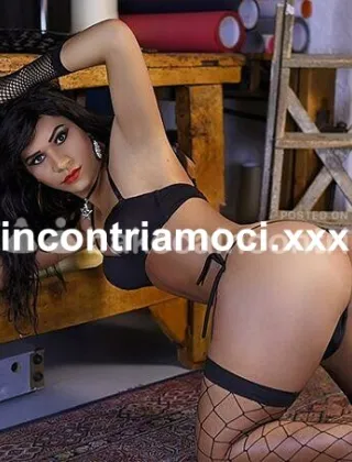 19 - Trans Varese - 3246186461