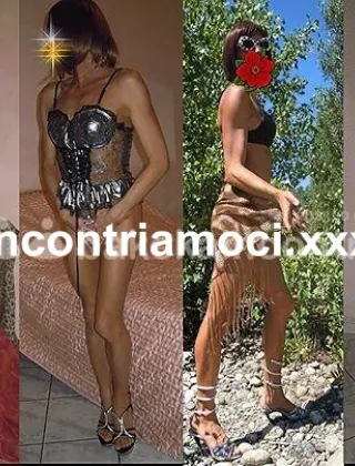 32 - Vivian Trans Varese - 3400588037