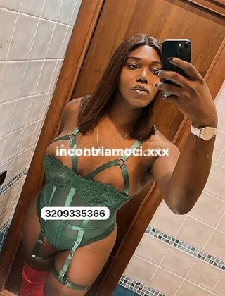 20 - Paloma Trans Caserta - 3209335366