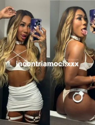 23 - Kelly Trans Varese - 3249081788