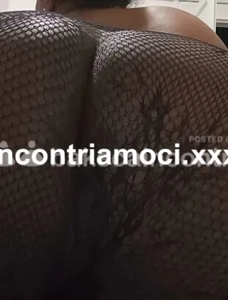 14 - Ingrid Trans Rimini - 3509091599