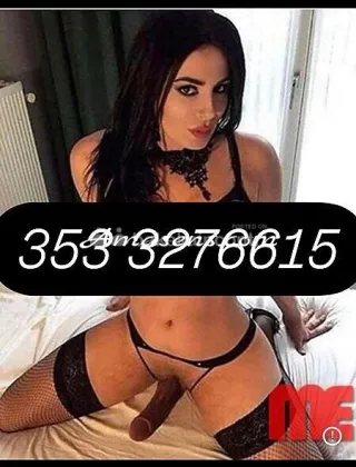 12 - Gabri Trans Campobasso - 3533276615