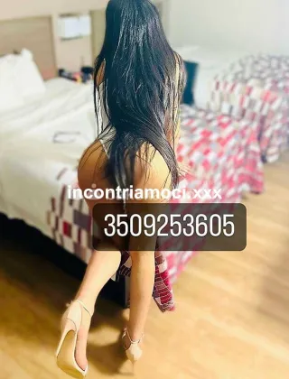 14 - Perla Trans Trapani - 3509253605