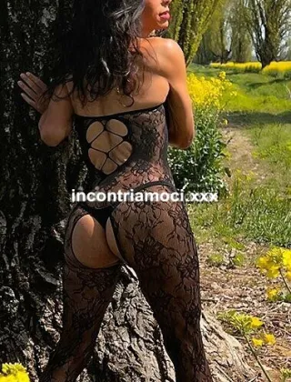 11 - Carlotta Trans Ferrara - 3271157814