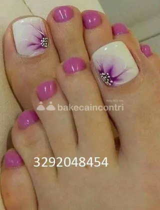 21 - Comfort Trans Alessandria - 3292048454