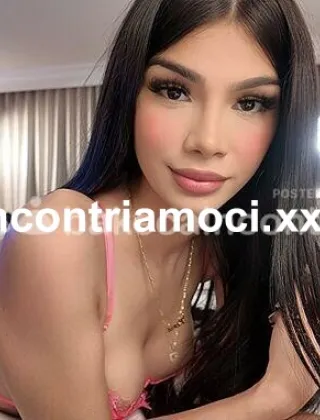 29 - Luna Trans Caserta - 3508976833