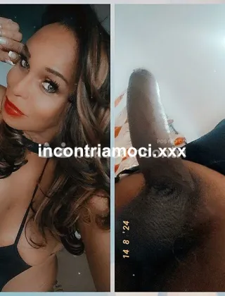 17 - Lya Trans Perugia - 3274740972