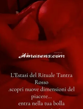 16 - Wolf& Lady Moon Coppie Modena - 3520901828