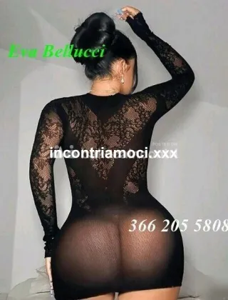 33 - Eva Trans Catanzaro - 3662055808