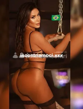 15 - New Trans Venezia - 3808625582