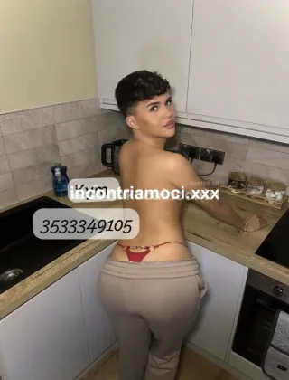 3 - Trans Trans Savona - 3533349105