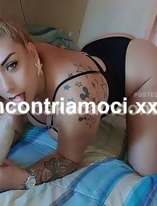 15 - Erika Trans Novara - 3520439205