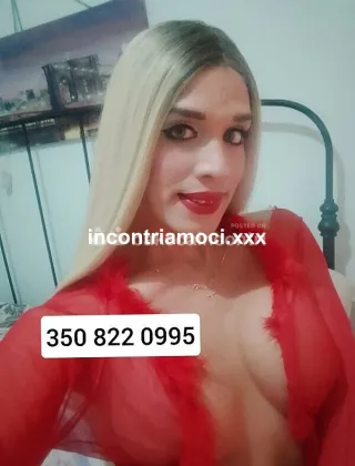 16 - Pamela Trans L'Aquila - 3508220995
