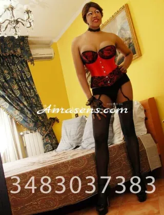 12 - Perla Trans Bologna - 3483037383
