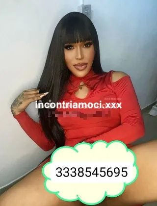 2 - Giullisa Trans Varese - 3338545695