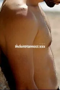 Bull Bull Dotatooo