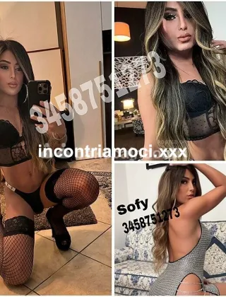 22 - Sofy Trans Lucca - 3458751273