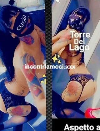 4 - Pamela Trans Lucca - 3891165704