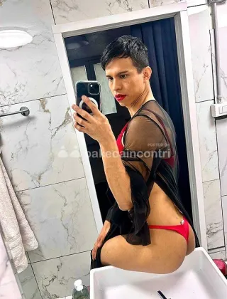 17 - Sexy Fem Boy Trans Genova - 3347407155