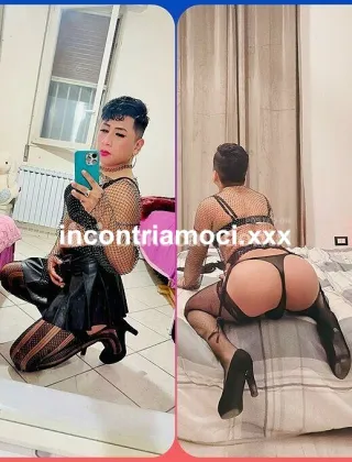 27 - Bello Femboy Novara Trans Novara - 3512510328