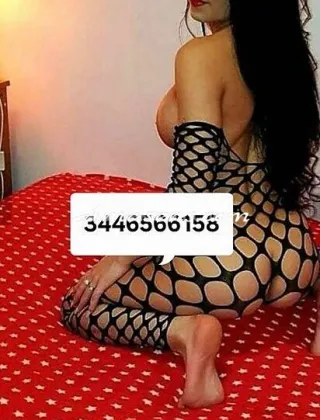 7 - Elysa Escort Padova - 3446566158