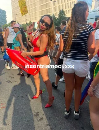 15 - Bruna Trans Milano - 3881235794