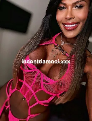 17 - Lesly Trans Bari - 3511928976