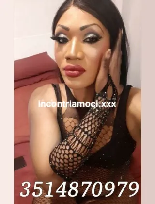 14 - . Trans Cosenza - 3514870979