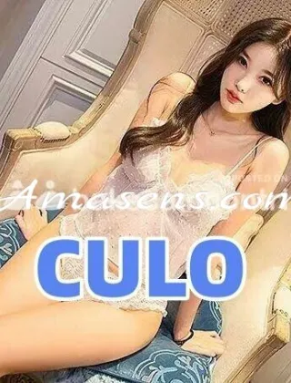 9 - Nuova Escort Novara - 3444329880
