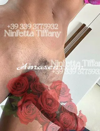 27 - Tiffany Trans Perugia - 3393775932