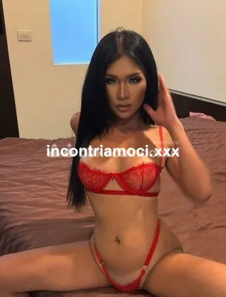 22 - Anita Trans Vicenza - 3470681578