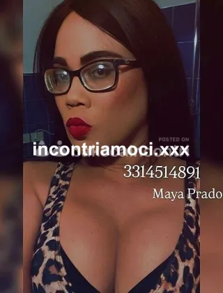 20 - Maya Trans Ancona - 3314514891