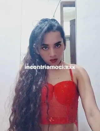 12 - Mishel Trans Frosinone - 3384044432