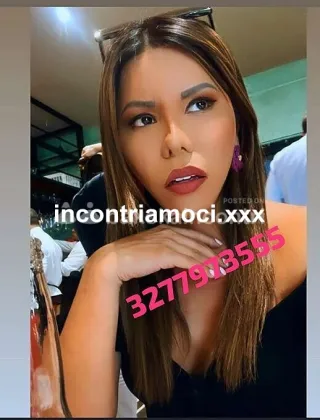 36 - Karlita Trans Pavia - 3277973555