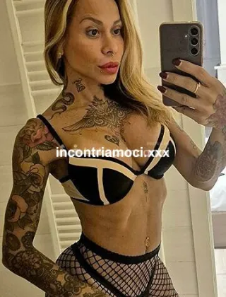 33 - La Toledo Trans Bologna - 3338568852