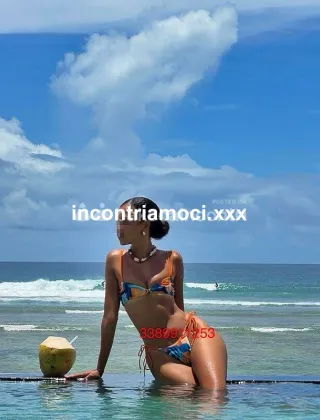 26 - Lilianna Escort Novara - 3389911253