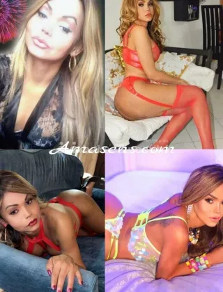 12 - Claudia Trans Vercelli - 3275683796