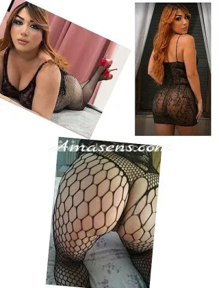 3 - Trans Italiana Trans Pisa - 3882404453
