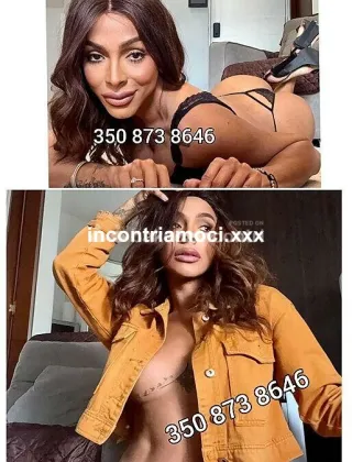 18 - Maila Trans Benevento - 3508738646