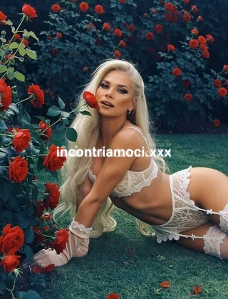 27 - Bruna Trans Massa-Carrara - 3295576383