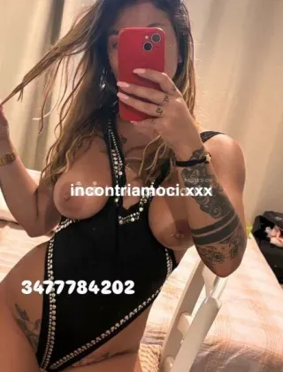 13 - Adelaide Escort Savona - 3477784202