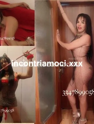 26 - Esmeralda Trans Mantova - 3341029724